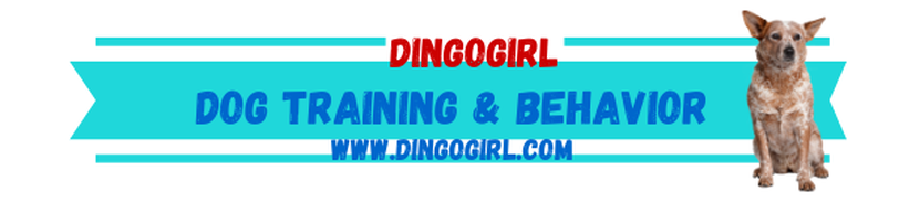 DingoGirl Dog Training & Consulting